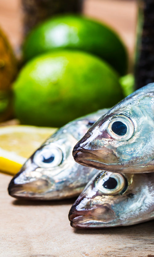 aquacul-fish-image es